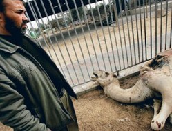 gaza zoo