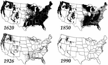 old-growth-forests-1620-1990