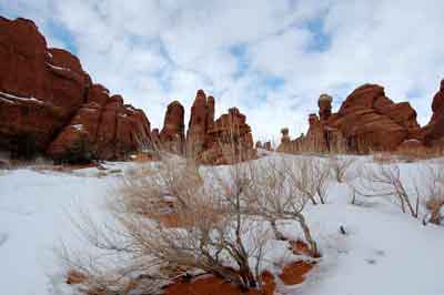 Edward-Abbey-Tim-DeChristopher-Arches
