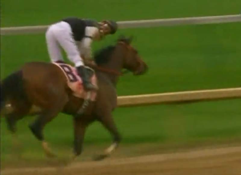 Calvin Borel rides MINE THAT BIRD from last place to first at the 2009 Kentucky Derby