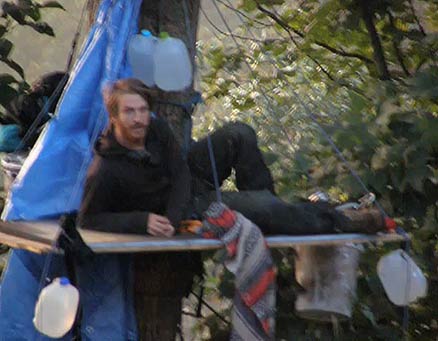 Nick Stocks at Pettry Bottom Treesit