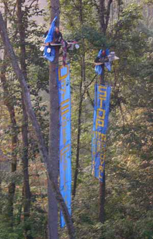 W-Va Treesitters Nick Stocks and Laura Steepleton